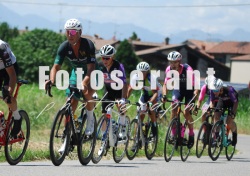 FOT_0006