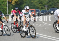 FOT_0367