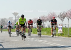 FOT0041