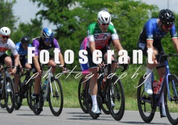 FOT_0042