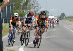 FOT0178