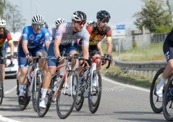 FOT0186
