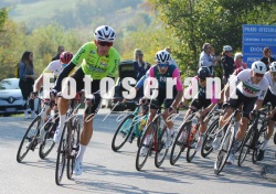 FOT_0050