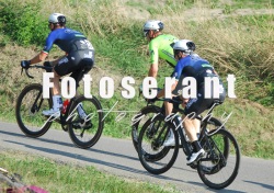 FOT_0081
