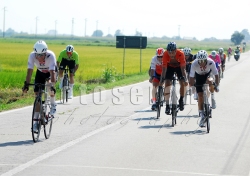 FOT_0047