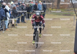 FOT_0119