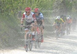 FOT0185