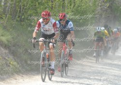 FOT0186
