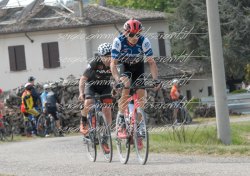 FOT0274