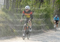 FOT0349
