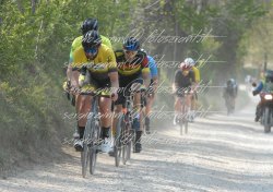 FOT0365