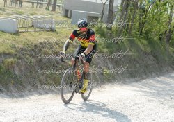FOT0379