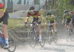 FOT0385