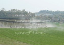 FOT0393