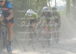 FOT0431