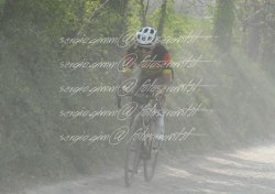 FOT0433