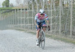 FOT0459