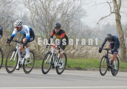 FOT0082