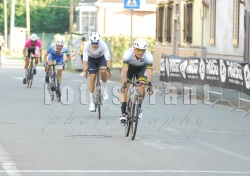 FOT_0082