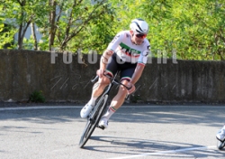 FOT_6619