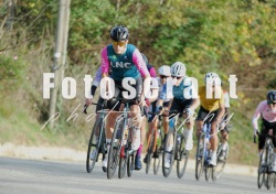 FOT_0133