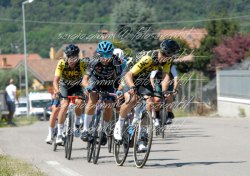 FOT0084