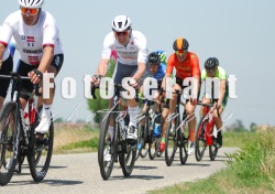 FOT_0376