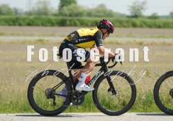 FOT_0383