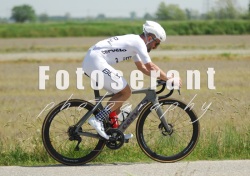 FOT_0384