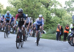 FOT_1728