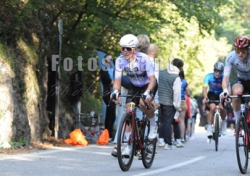 FOT_7065