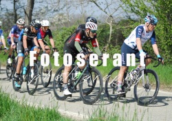 FOT_0007