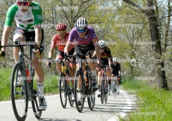 FOT0095