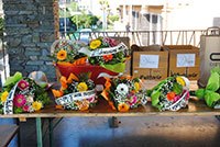 DSC_0018